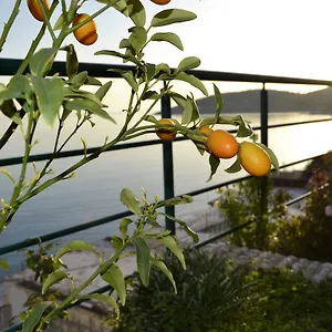 villa-panorma.albaniahotels.org/