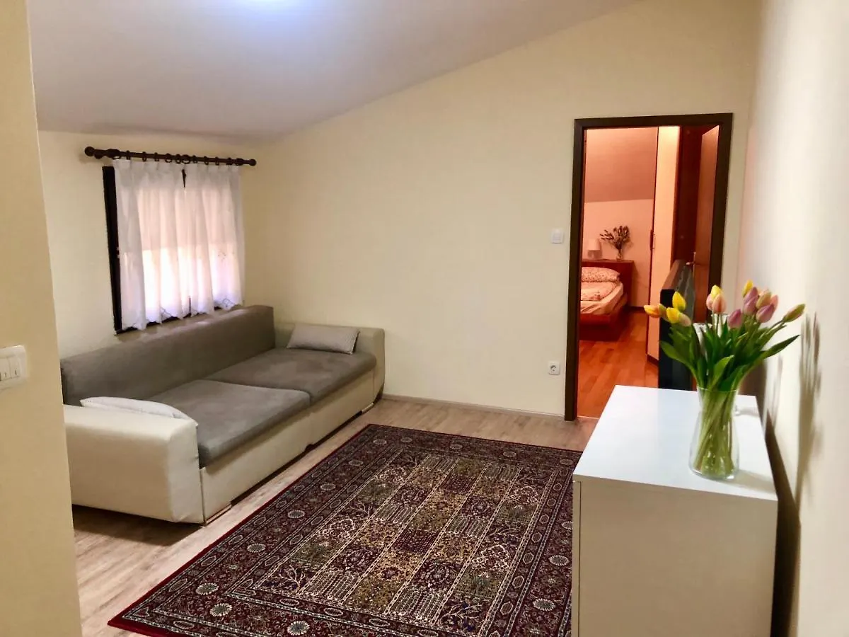 Guest house Apartments Maria Ljubljana